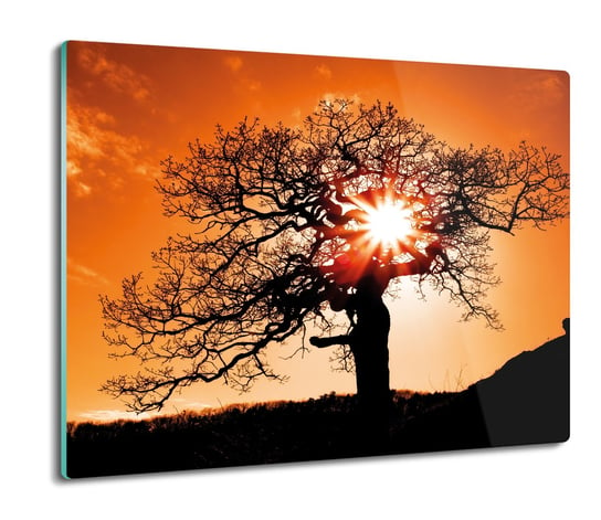 splashback z nadrukiem Drzewo zachód słońca 60x52, ArtprintCave ArtPrintCave
