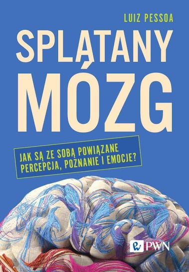 Splątany mózg Luiz Pessoa