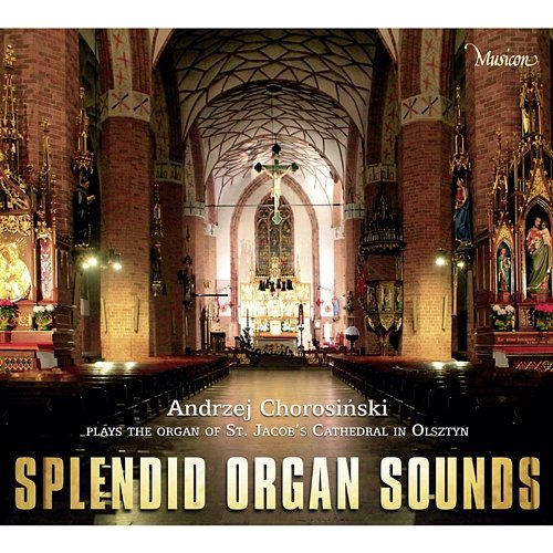 Splendid Organ Sounds Andrzej Chorosiński