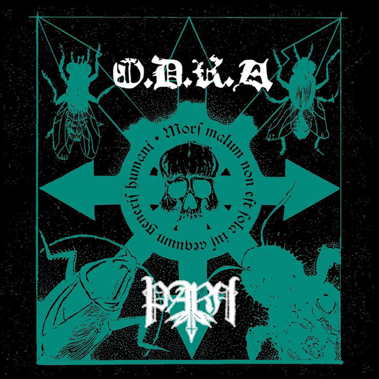 Split ODRA Parh