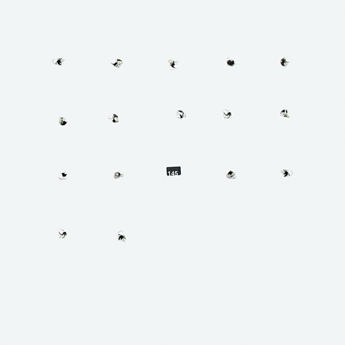 Split Series #16 Avey Tare