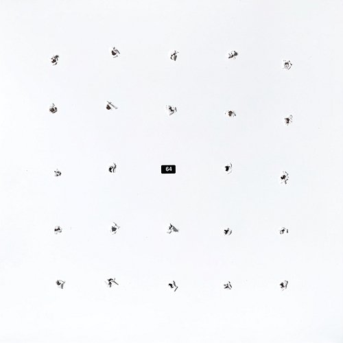 Split Series 24 Ian William Craig, Kago
