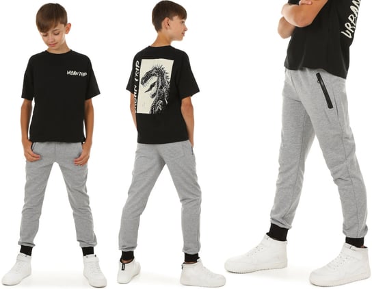 Spodnie dresowe dla chłopca, produkt polski - 116 SZARY / KROPEK Inna marka