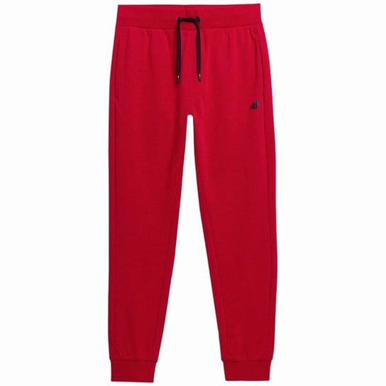 Spodnie męskie 4F czerwony 4F