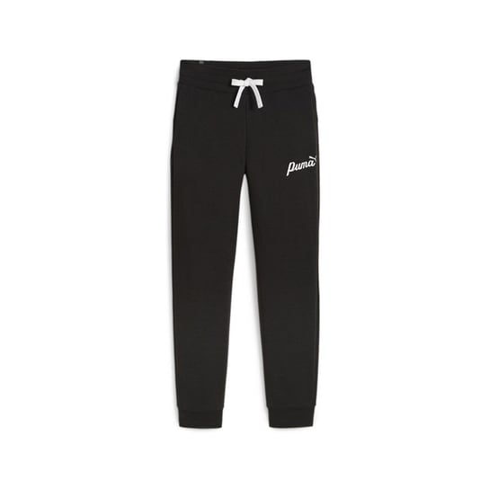Spodnie Puma Ess+ Script 67935001 Puma