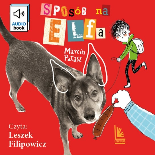 Sposób na Elfa - audiobook Pałasz Marcin