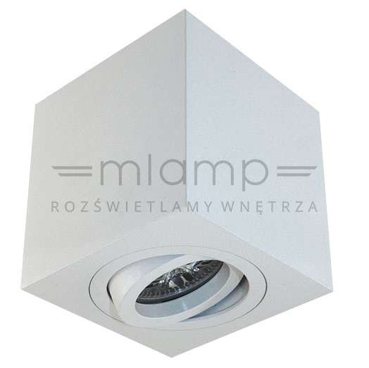 Spot LAMPA sufitowa Lago Bianco Orlicki Design regulowana OPRAWA metalowa kostka cube biała Orlicki Design