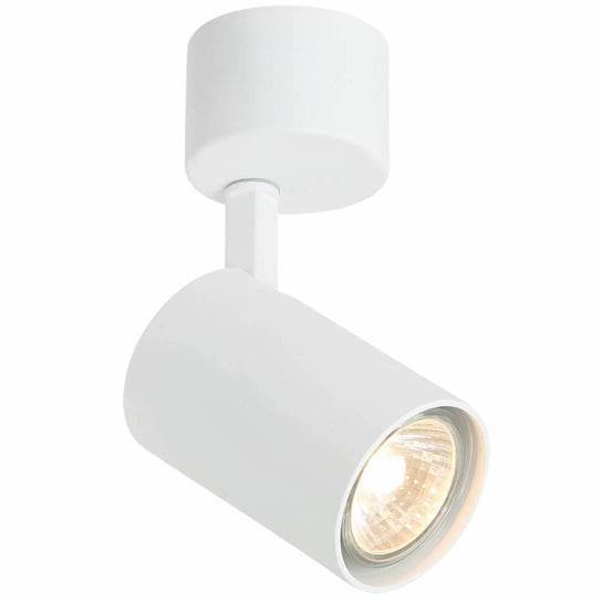 Spot LAMPA sufitowa Tuka Bianco Orlicki Design regulowana OPRAWA metalowa downlight tuba biała Orlicki Design