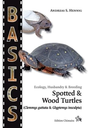 Spotted Turtle and North American Wood Turtle Chimaira