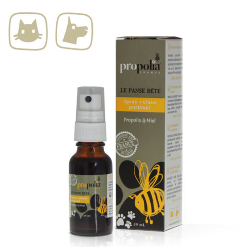 Spray Do Ciała Oczyszczający I Pielęgnacyjny                             - Propolis, Miód - Propolia - Beeyes Propolia