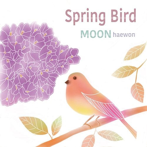 Spring Bird Moon haewon