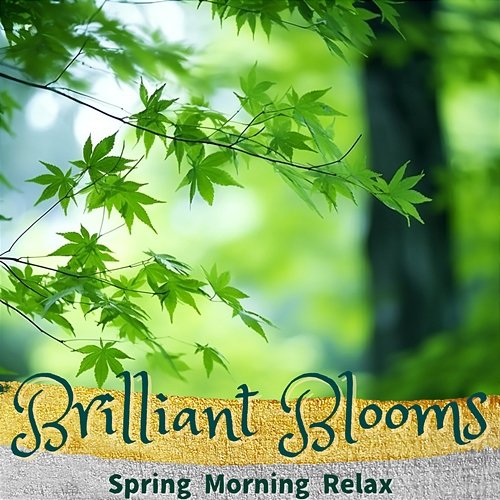 Spring Morning Relax Brilliant Blooms