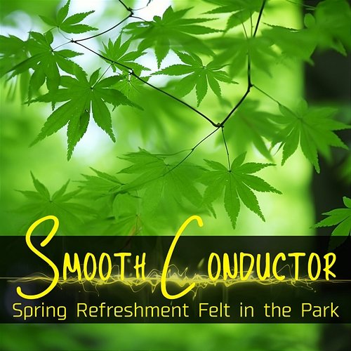 Spring Refreshment Felt in the Park Smooth Conductor