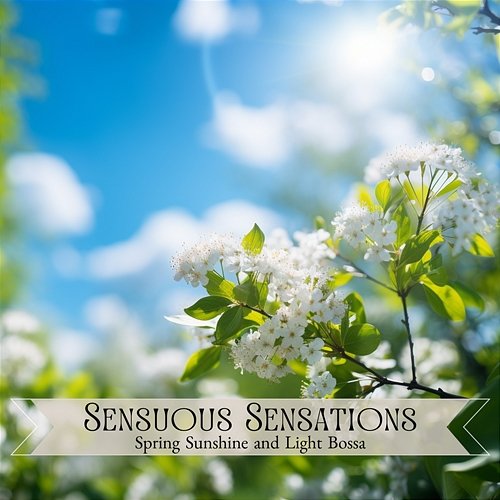 Spring Sunshine and Light Bossa Sensuous Sensations