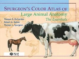 Spurgeon's Color Atlas of Large Animal Anatomy: The Essentials Mccracken Thomas O., Kainer Robert A., Spurgeon Thomas L.