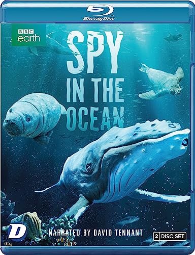 Spy In The Ocean Various Directors