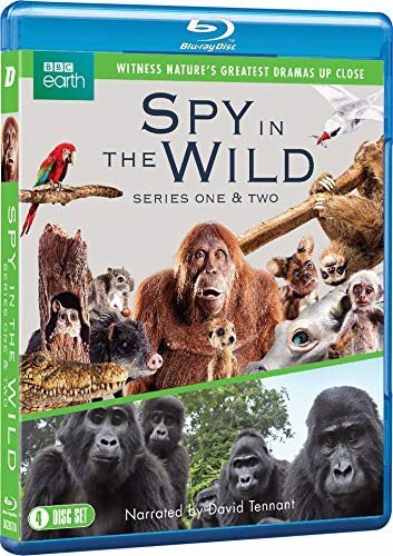 Spy In The Wild: Season 1-2 (Szpiedzy wśród zwierząt: Sezon 1-2) Downer John