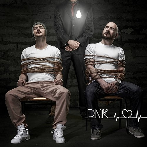 Srce DNK