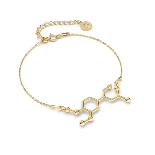 Srebrna bransoletka adrenalina wzór chemiczny, srebro 925 : Srebro - kolor pokrycia - Pokrycie żółtym 18K złotem GIORRE