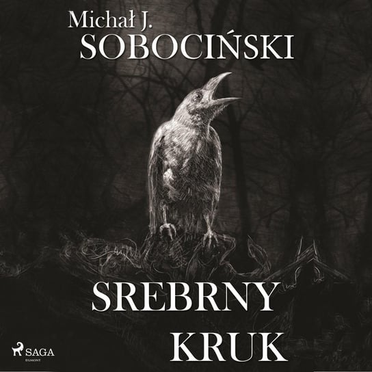 Srebrny kruk Sobociński Michał J.