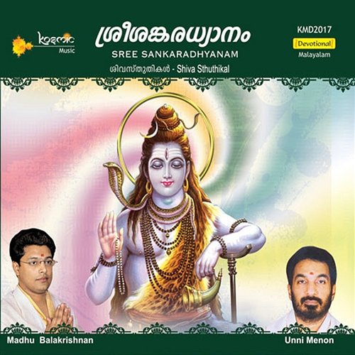 Sree Sankaradhyanam T S Radhakrishnanji & Mohandas