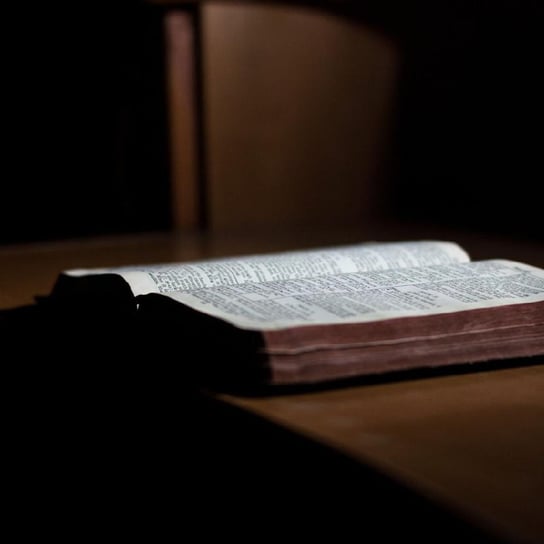 Środa X Zwykła - Rozmyślania nad Biblią - podcast Opracowanie zbiorowe