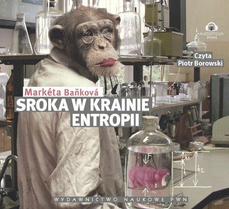 Sroka w krainie Entropii Bankova Marketa