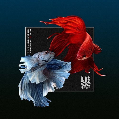 SSXUB Shapeshifter, The Upbeats