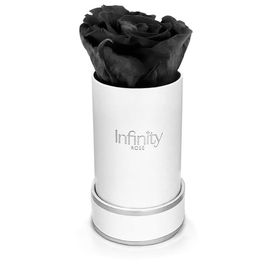 Stabilizowana Czarna Wieczna Róża Biały Mini Flowerbox Infinity Rose Infinity Rose