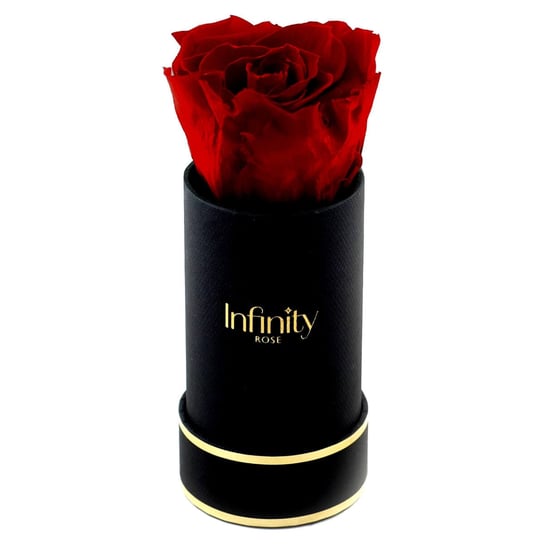 Stabilizowana Czerwona Wieczna Róża Czarny Mini Flower Box Infinity Rose Prezent Na Dzień Mamy Infinity Rose