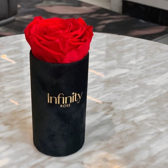 Stabilizowana czerwona wieczna róża czarny welurowy flower box Infinity Rose prezent na Dzień Mamy Infinity Rose