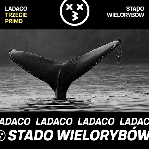 Stado wielorybów Ladaco