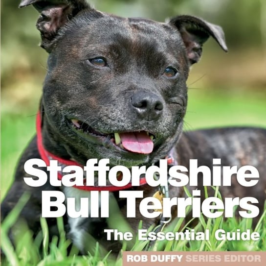 Staffordshire Bull Terriers: The Essential Guide Rob Duffy