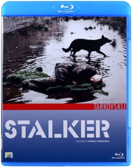 Stalker () - Various Directors| Filmy Sklep EMPIK.COM