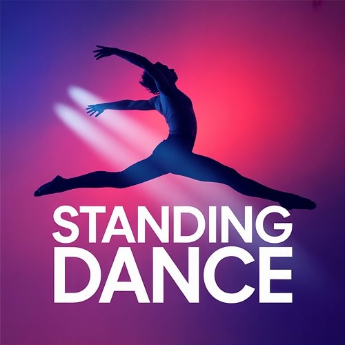 Standing Dance Midnight Echo Syndicate