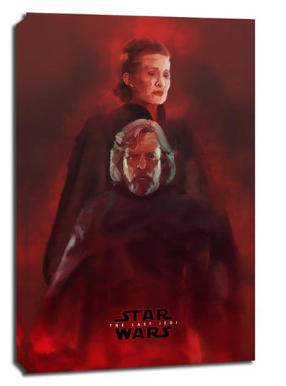 Star Wars Gwiezdne Wojny – Ostatni Jedi – bohaterowie - obraz na płótnie 20x30 cm Galeria Plakatu