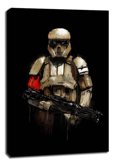 Star Wars Gwiezdne Wojny Szturmowiec - obraz na płótnie 40x50 cm Galeria Plakatu