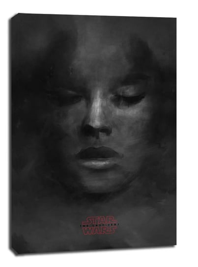 Star Wars Gwiezdne Wojny - The last Jedi - Breath - obraz na płótnie 40x60 cm Galeria Plakatu
