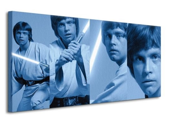 Star Wars Luke Skywalker Pose - obraz na płótnie Star Wars gwiezdne wojny