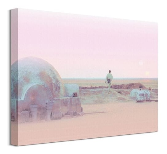 Star Wars Serene Tatooine - obraz na płótnie Star Wars gwiezdne wojny