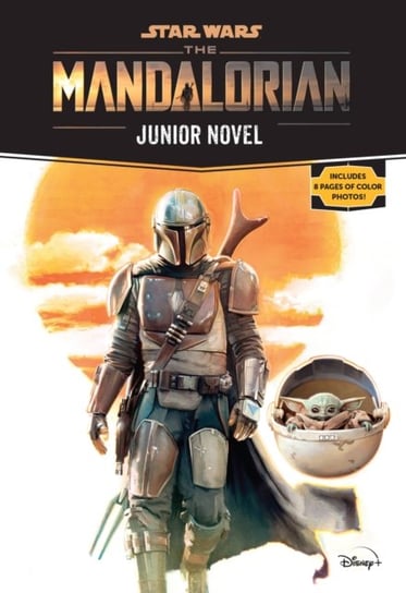 Star Wars: The Mandalorian Junior Novel Schreiber Joe