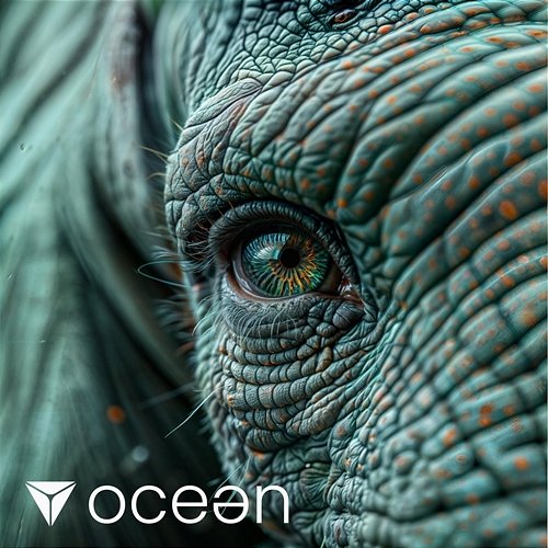 Stare dusze Ocean
