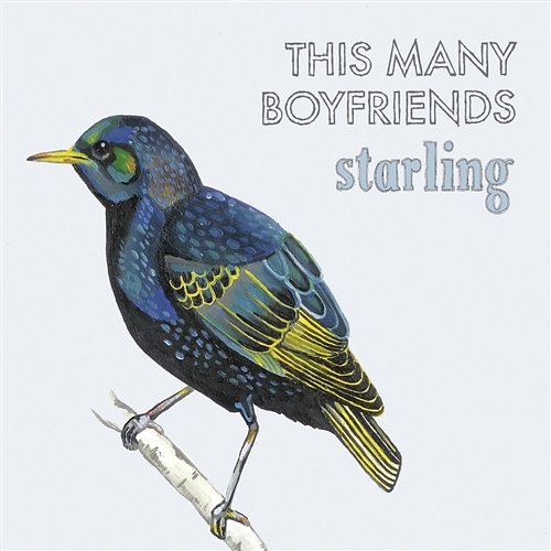 Starling This Many Boyfriends