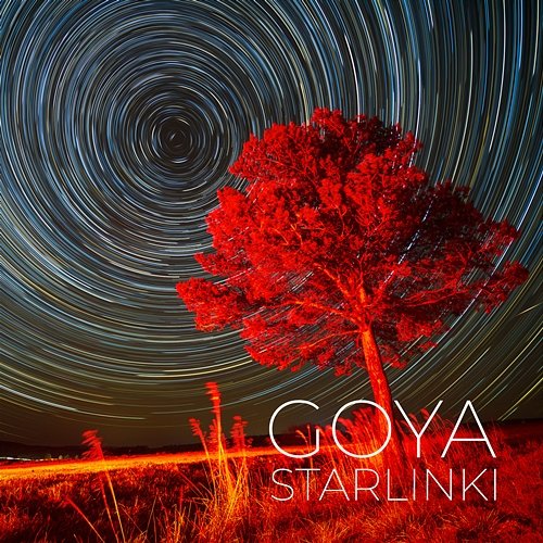 Starlinki Goya