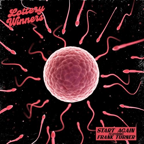 Start Again The Lottery Winners, Frank Turner