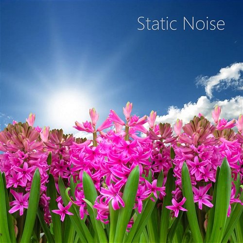 Static Sleep Noise Static Noise