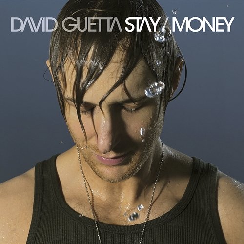 Stay David Guetta feat. Chris Willis
