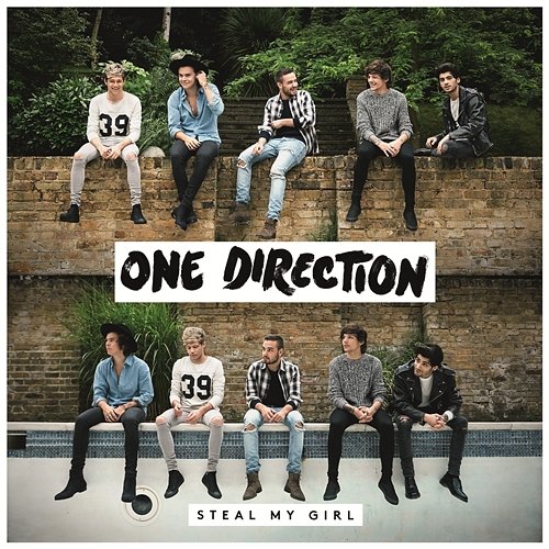 Steal My Girl One Direction