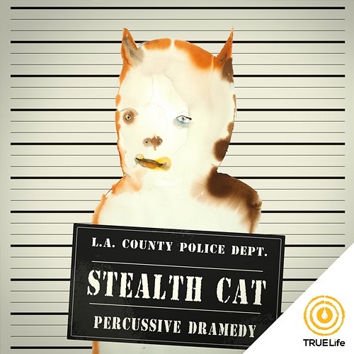 Stealth Cat iSeeMusic, iSee Cinematic