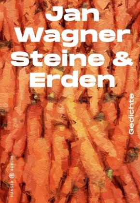 Steine & Erden Hanser Berlin